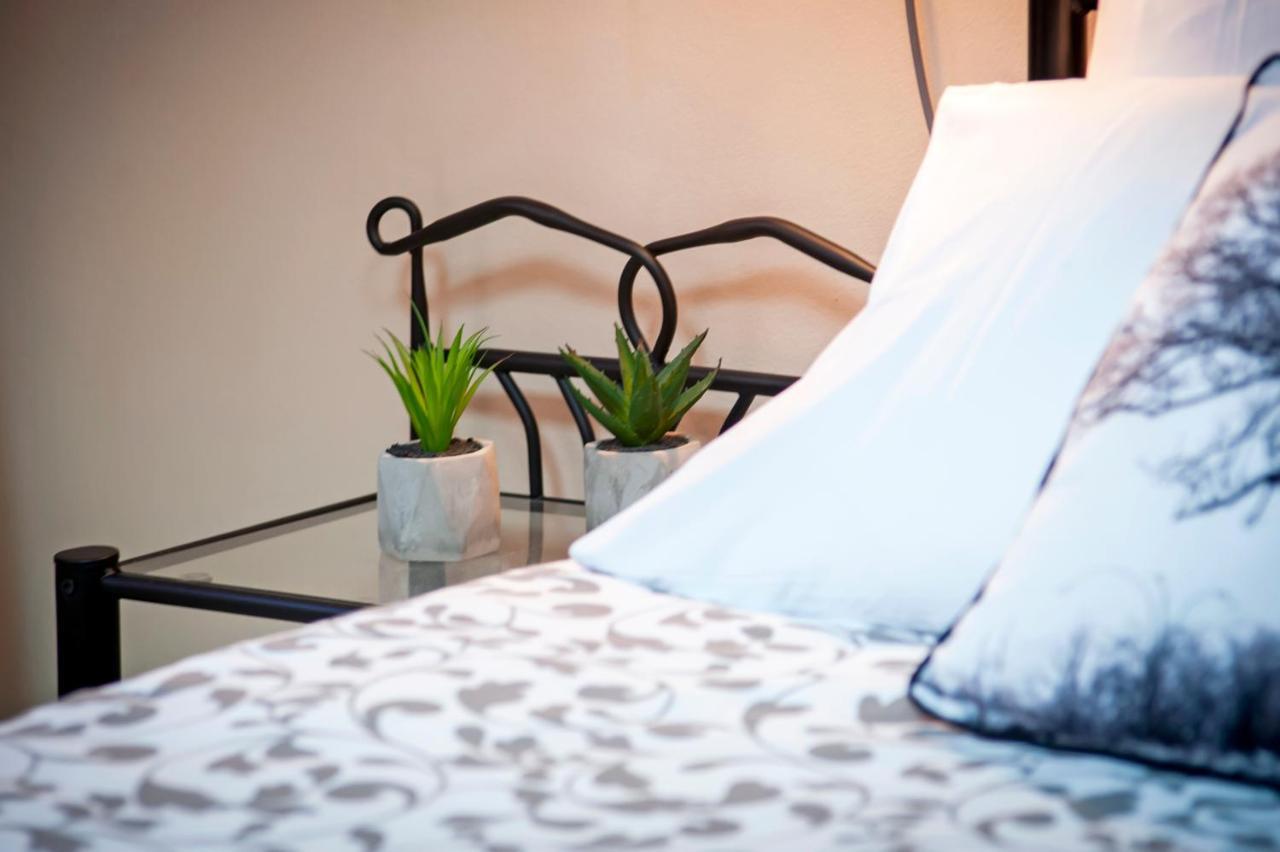 Rovinj City Apartment Экстерьер фото